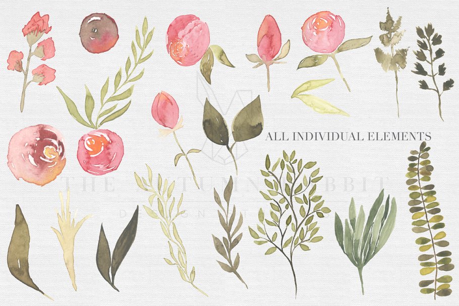 水彩手绘粉色调搭配花卉剪贴画 Southern Charm Floral Clipart Set插图(1)