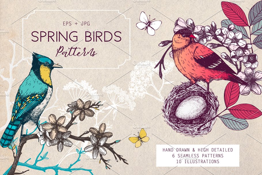 春季手绘小鸟自然元素 Hand Drawn Spring Birds Patterns插图