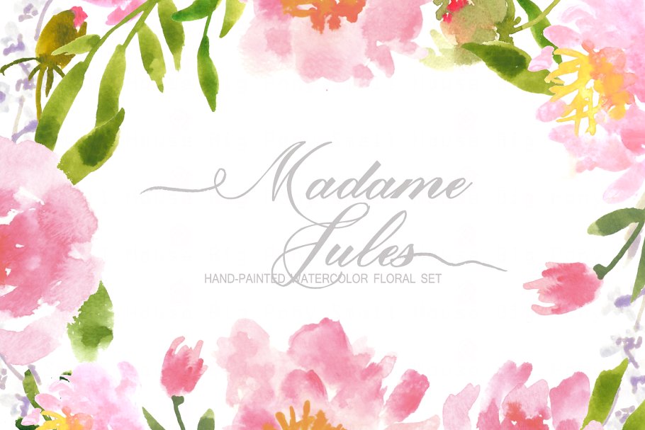水彩艺术花卉元素插画 Madame Jules- Watercolor Clip Art插图(2)