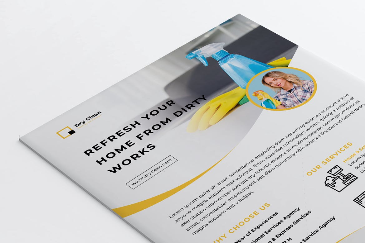 家电清洁上门/家庭家政保洁服务海报传单设计模板 DRYCLEAN Cleaning Services Flyer插图(4)