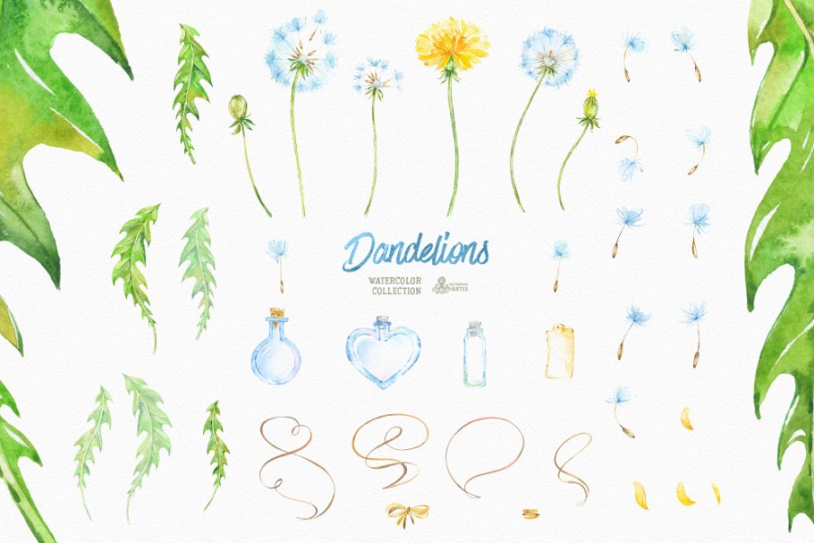 柠檬黄手绘水彩花卉插画 Dandelions. Floral Collection插图(2)