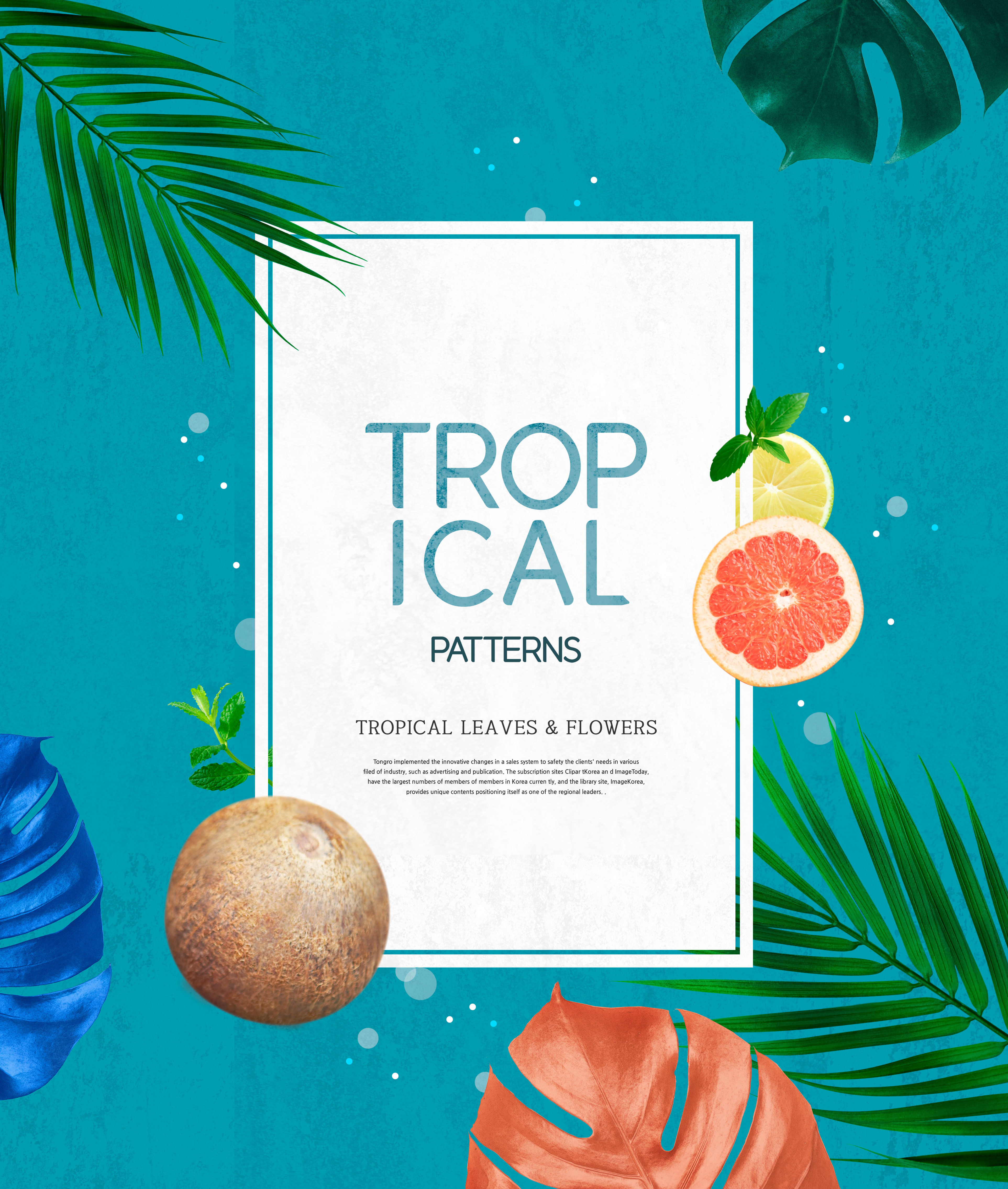 热带主题叶子&花卉图案海报设计素材插图(1)