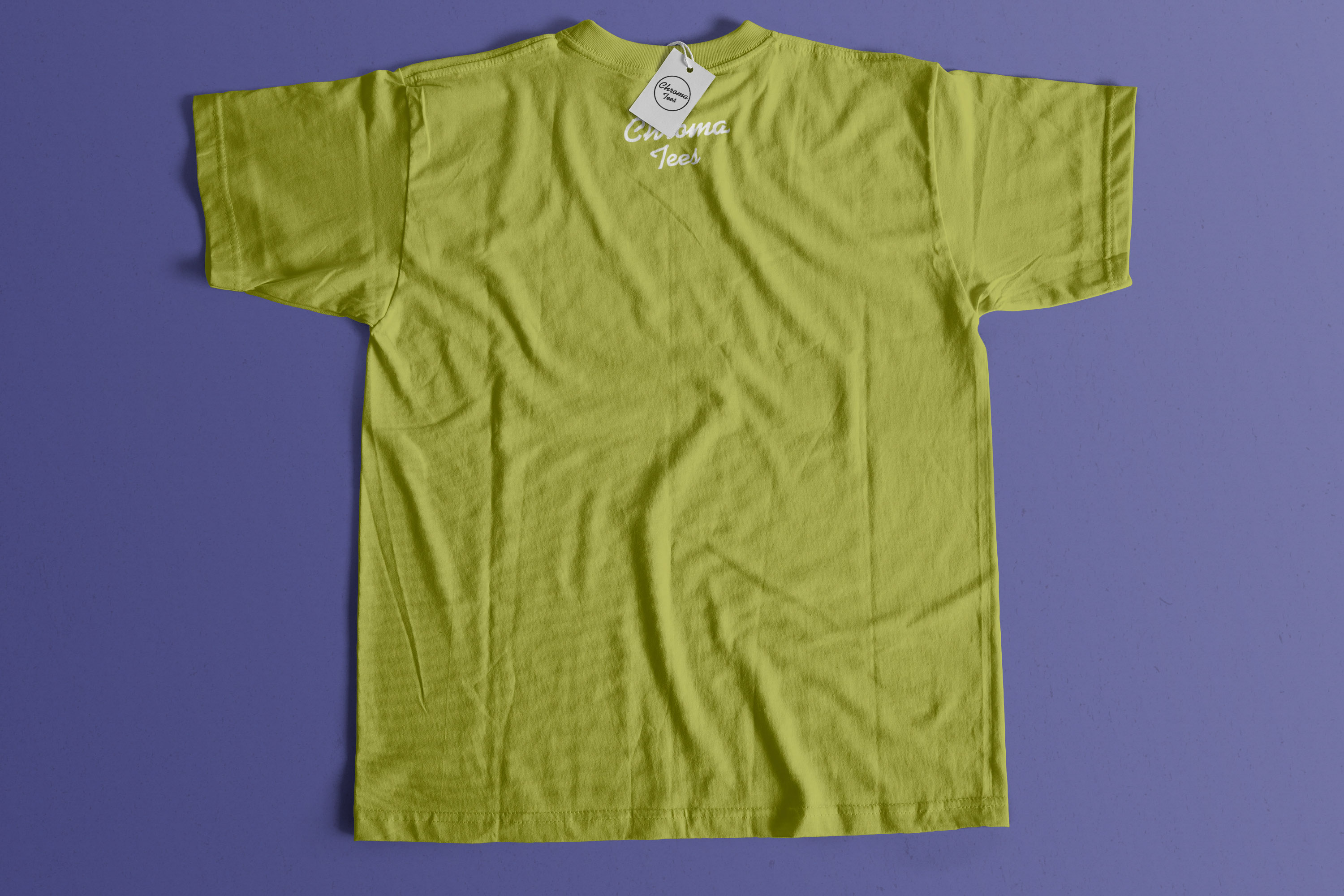 T恤设计背部效果图样机模板01 Back Tshirt Mockup 01插图