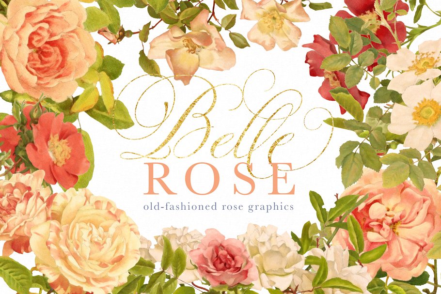 旧时尚老派水彩玫瑰花卉剪贴画合集 Belle Rose Antique Graphics Bundle插图