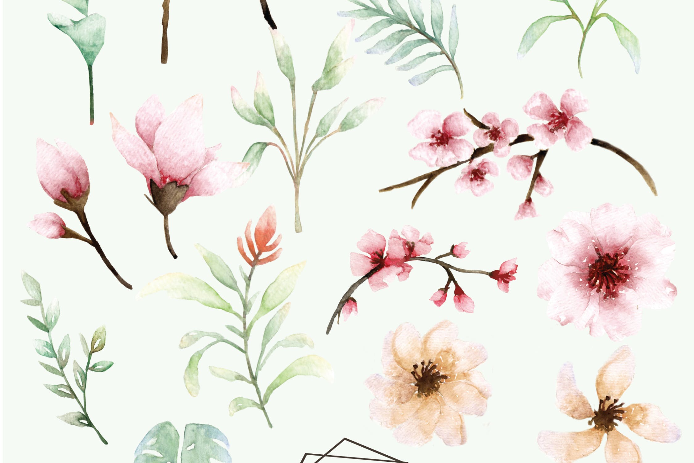 粉色樱花花卉水彩手绘设计套装 Pink Floral – Sakura Watercolor Set插图(9)
