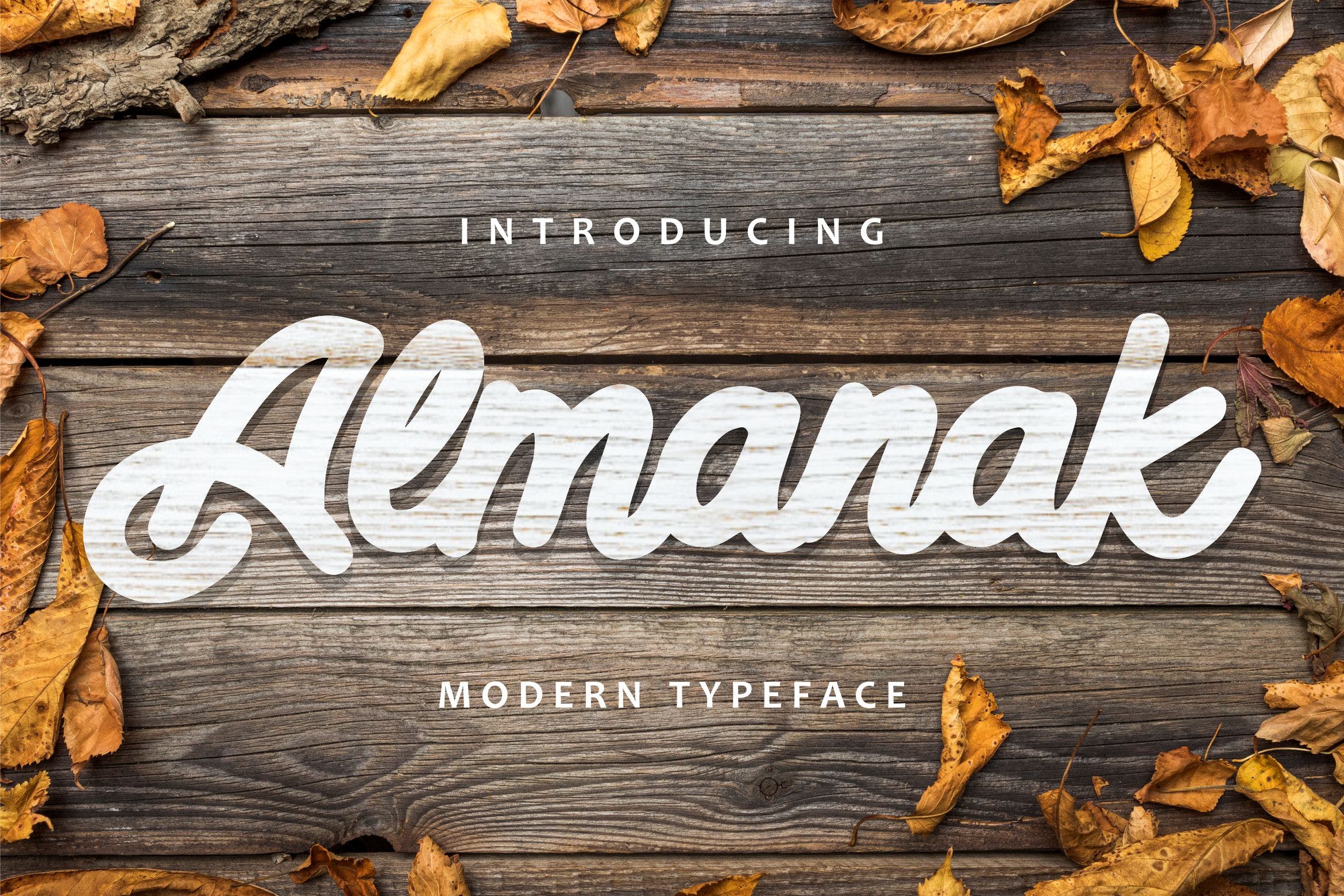 现代外观英文粗体草书艺术字体下载 Almanak – Modern Typeface插图