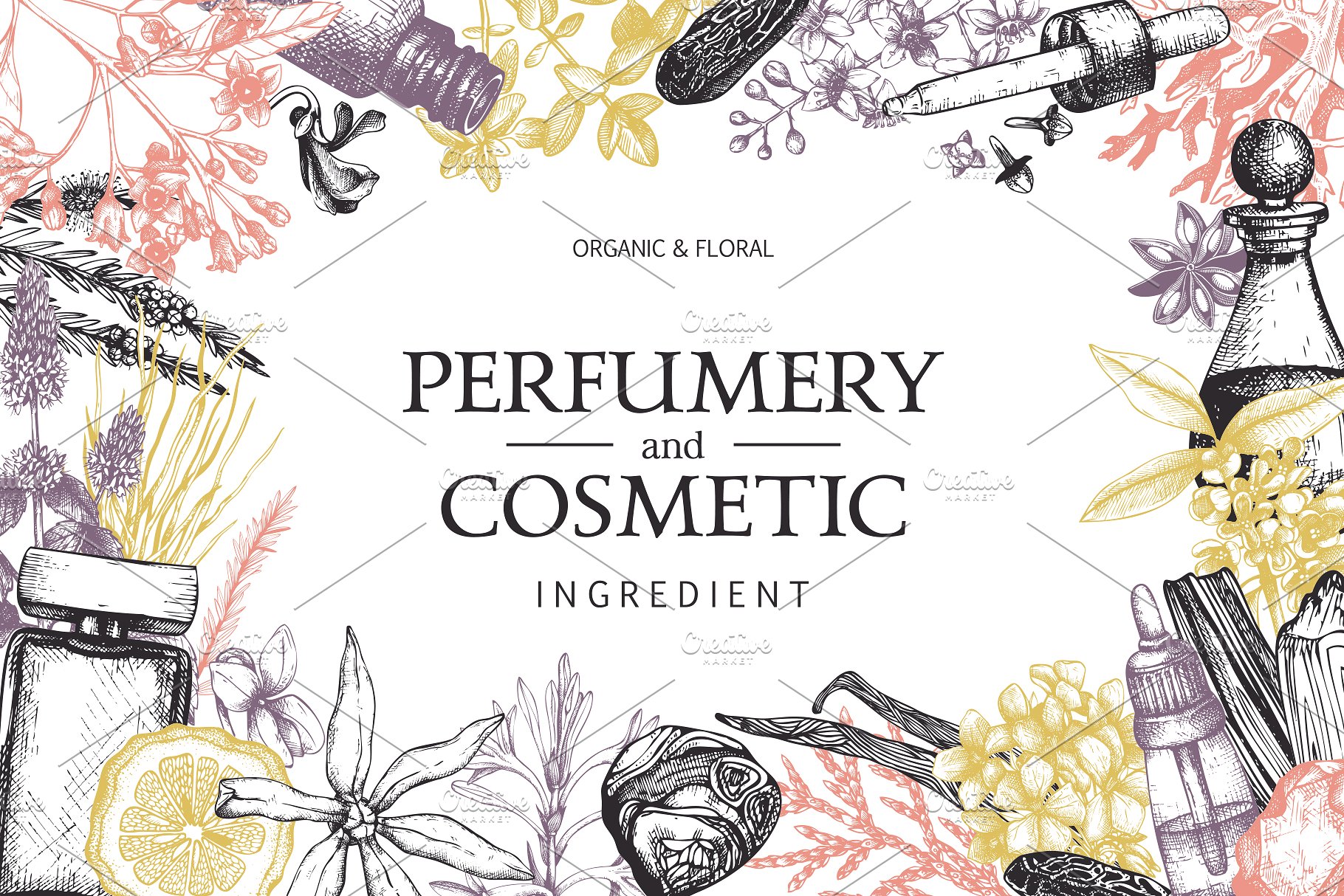 香水及化妆品配料元素集 Perfume & Cosmetic Ingredients Set插图