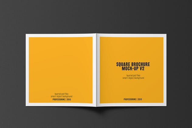 画册目录手册样机模板 Square Brochure / Catalogue Mock-Up插图(6)