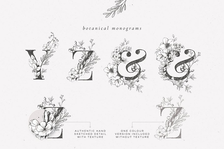 乡土气息植物、手绘字体&花卉字体 Botanical Illustrations & Monograms插图(4)