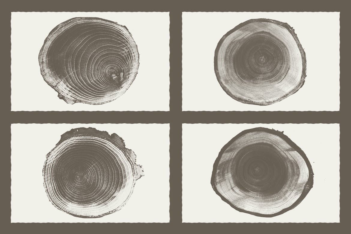 木质年轮纹理背景素材 Wood Texture Pack Background插图(2)