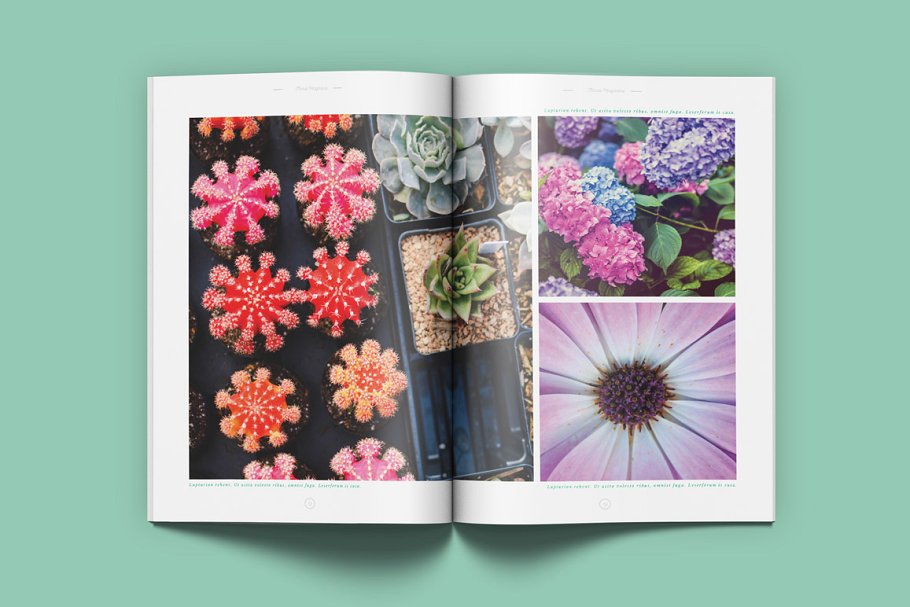 极简主义盆栽景观通用杂志模板 Floral Magazine插图(11)