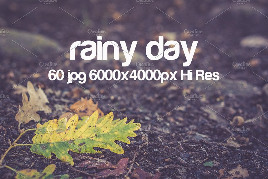 高清下雨天景色照片 Rainy day photo pack插图(1)