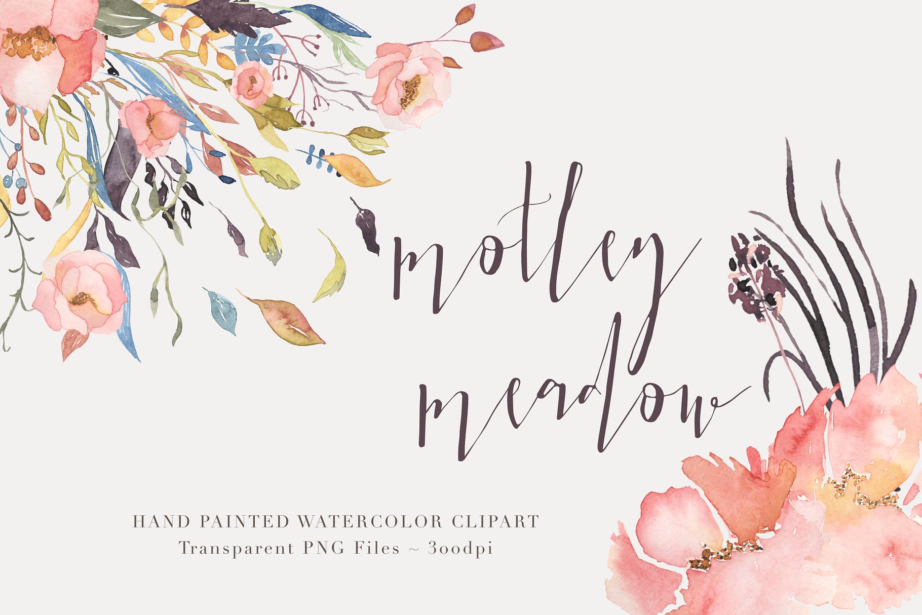 混色水彩花卉剪贴画 Watercolor Floral Clipart – Motley插图