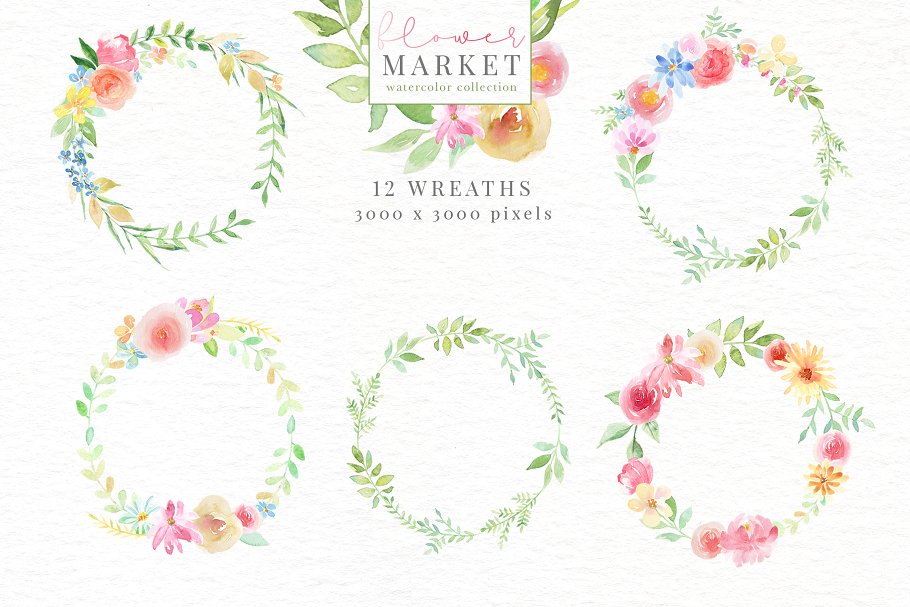 花卉市场水彩素材收藏[1.15GB] Flower Market Watercolor Collection插图(3)