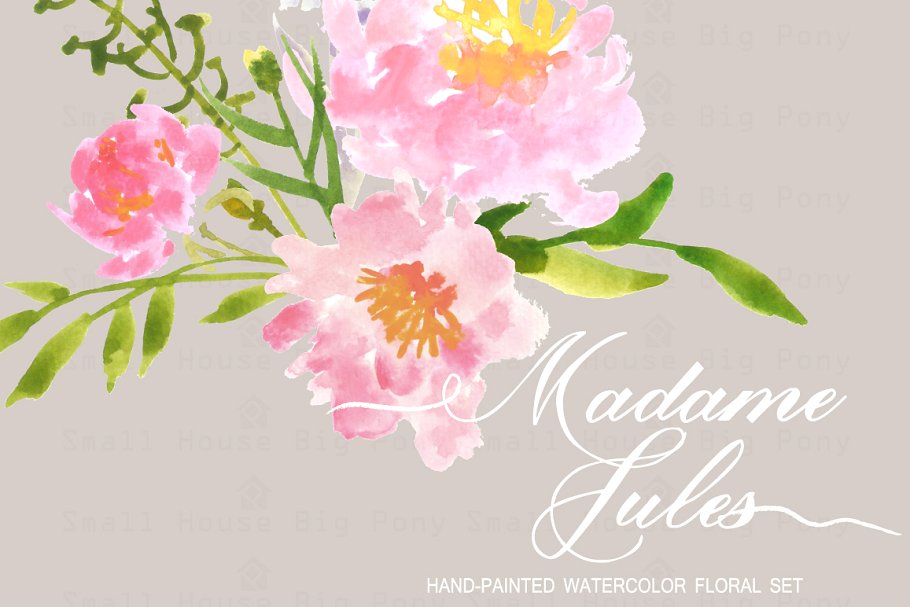 水彩艺术花卉元素插画 Madame Jules- Watercolor Clip Art插图(1)