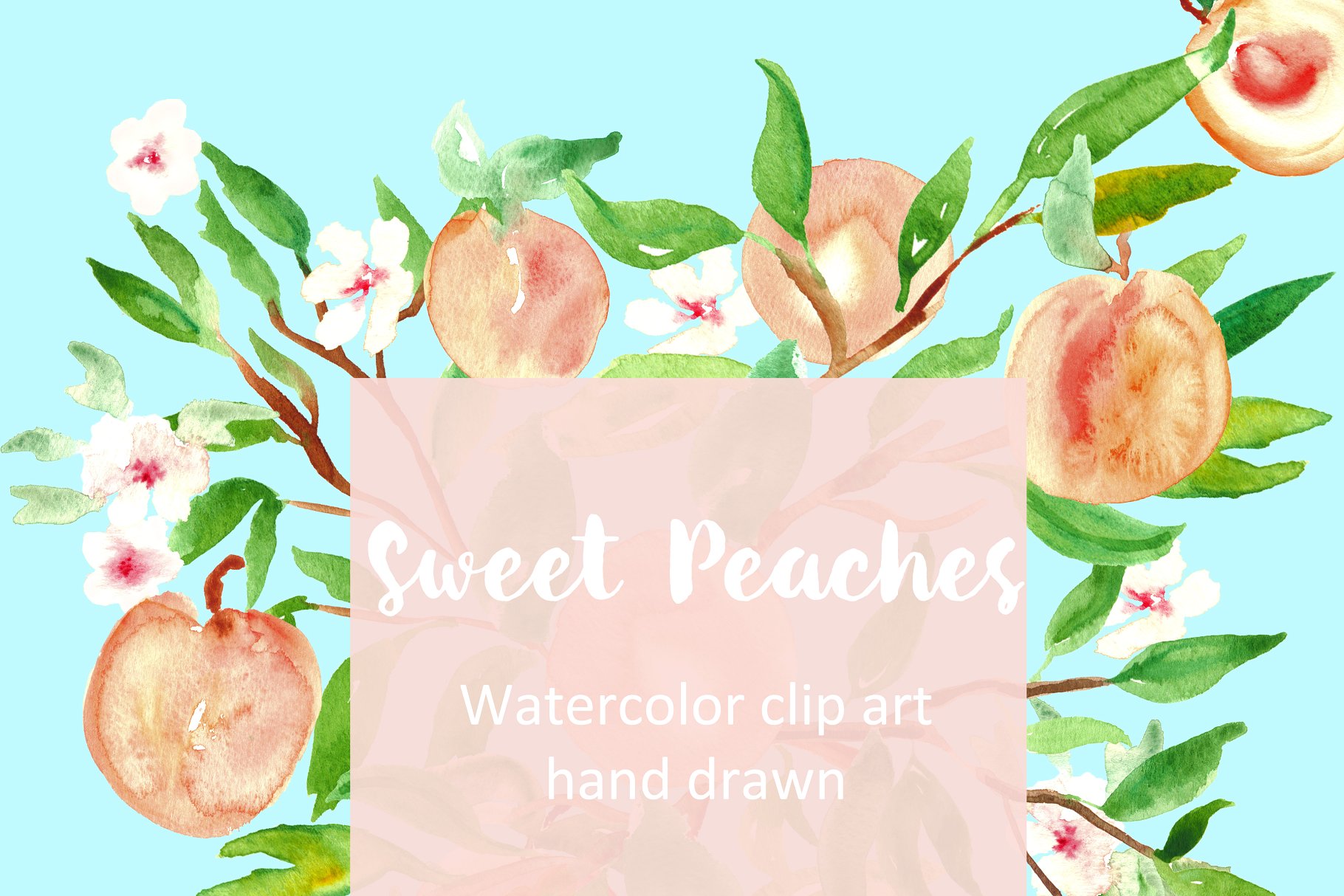 水蜜桃水彩剪贴画 Peach. Watercolor clipart.插图(1)