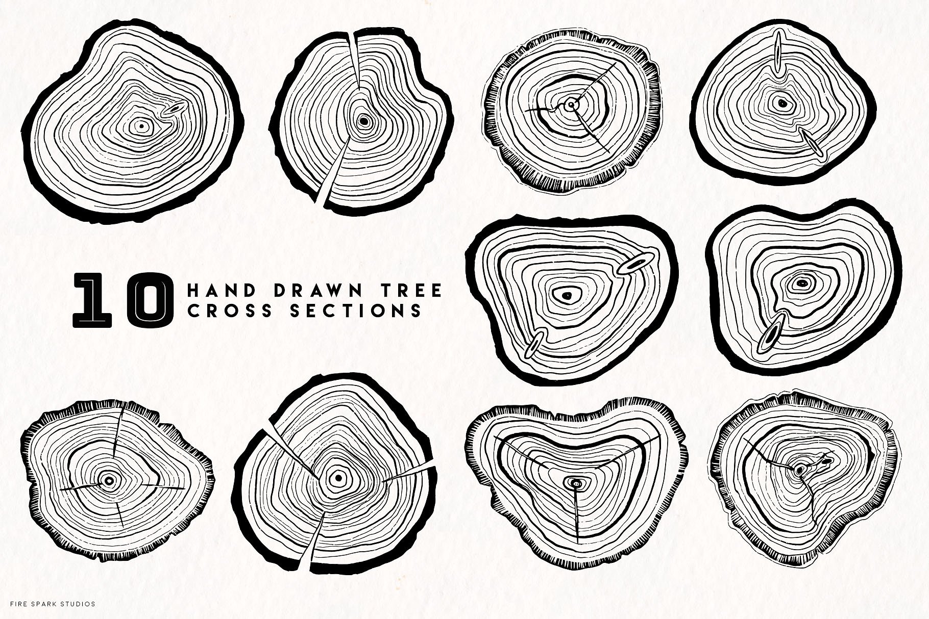 手绘树木年轮矢量图像合集 Timber – Hand Drawn Vector Image Set插图(1)