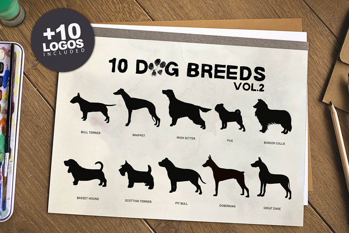 10款动物犬种矢量插画素材 10 Dog Breeds vol2 + Bonus插图