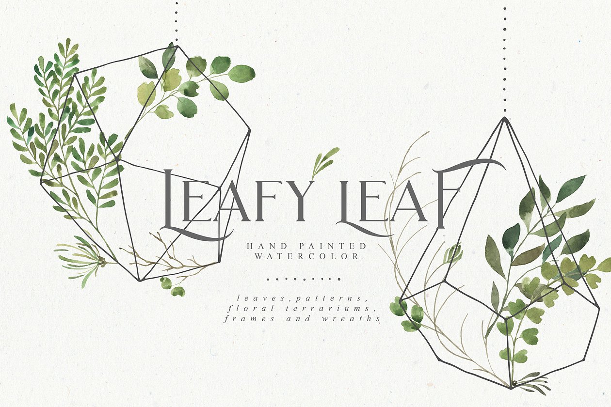水彩树叶元素、相框、纹理素材包 Leafy Leaf Collection插图