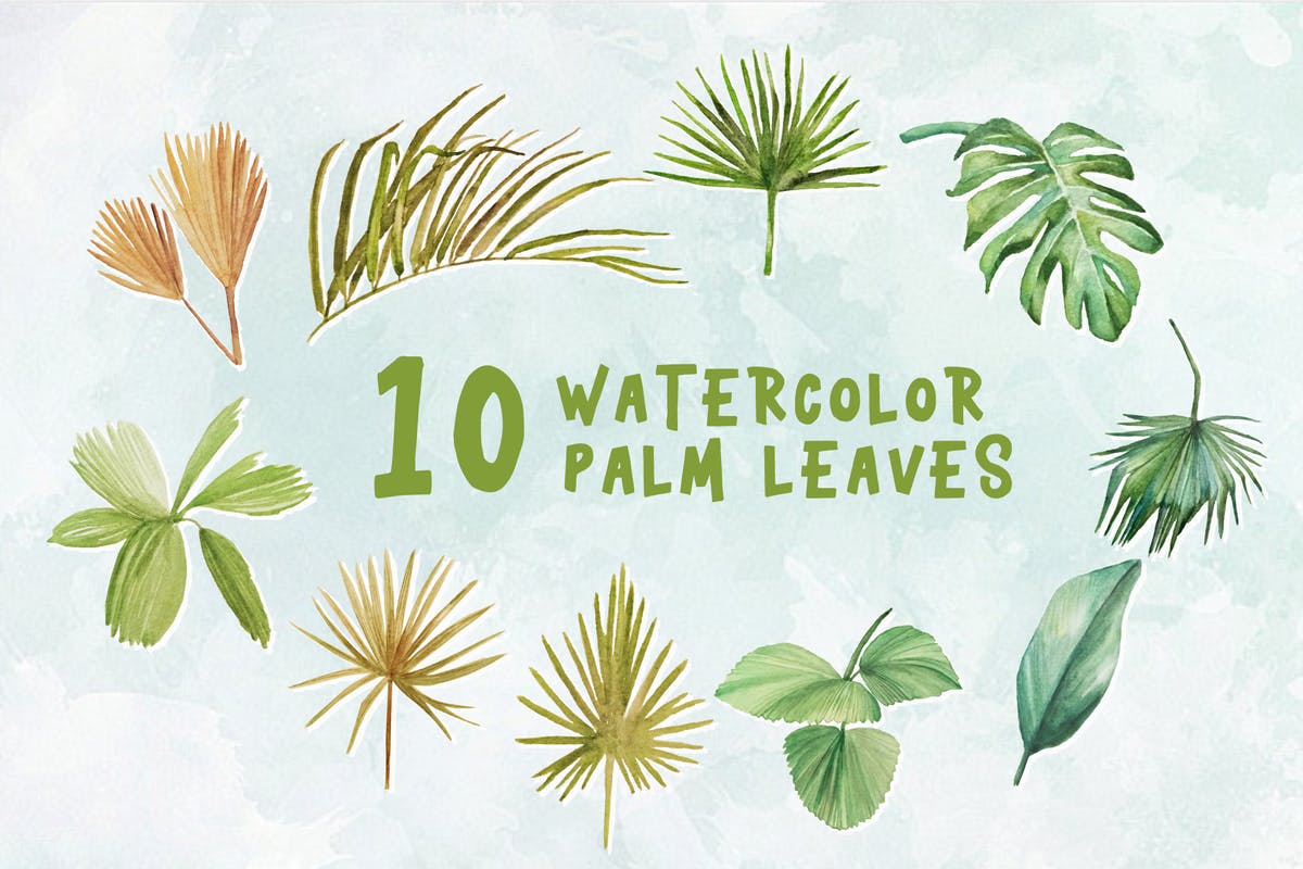 绿色植物棕榈叶水彩插画设计素材 10 Watercolor Palm Leaves Illustration Graphics插图