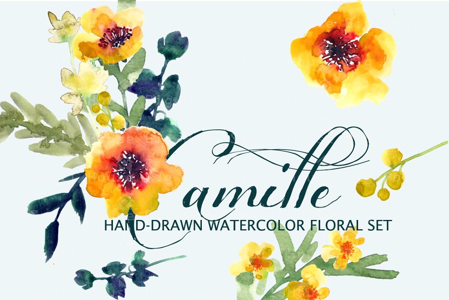 水彩阳光暖黄色花卉素材 Camille- Watercolor Clip Art Set插图(1)