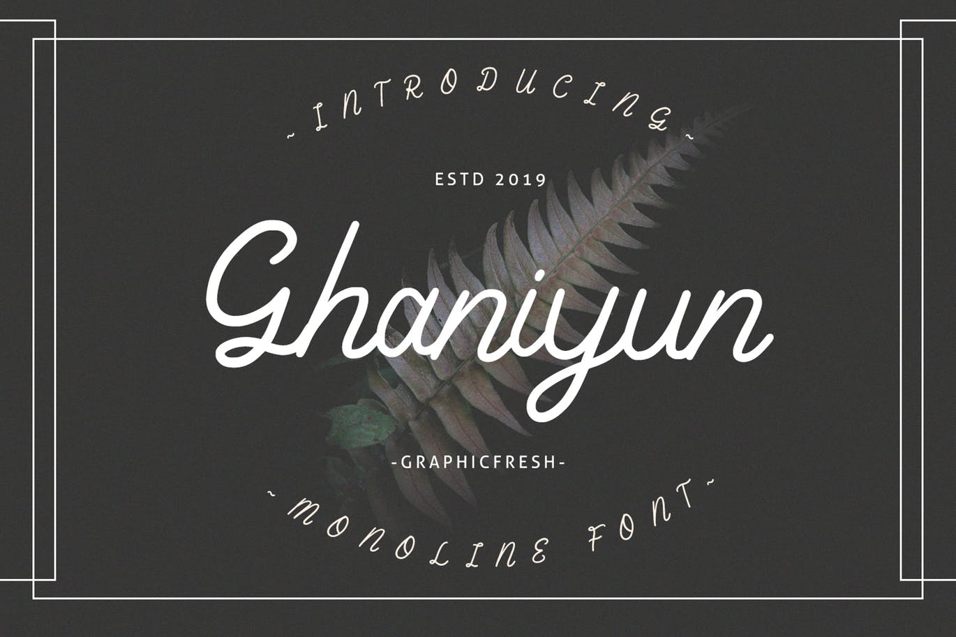 Monoline风格英文书法字体 Ghaniyun Monoline Font插图