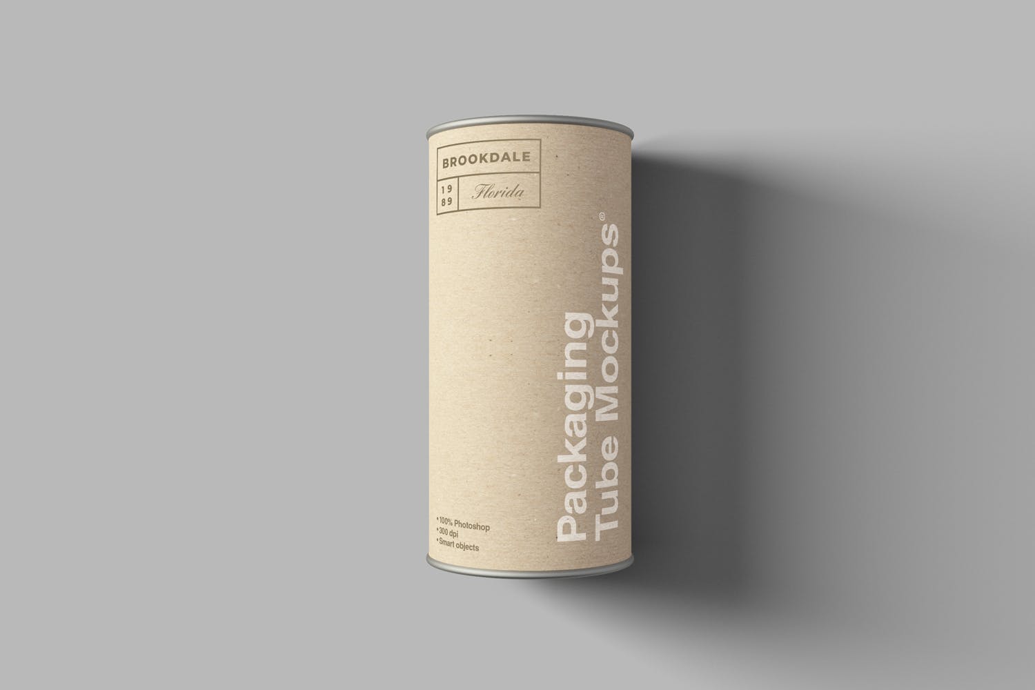 牛皮纸圆筒包装盒圆罐包装外观设计样机模板 Packaging Tube Mockups插图(4)
