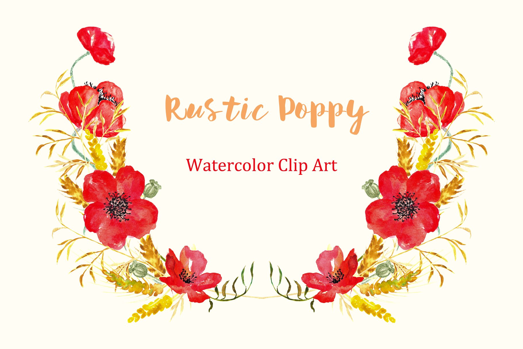 夏季乡村浪漫罂粟剪贴画 Ructic Poppy watercolor Clipart插图(2)