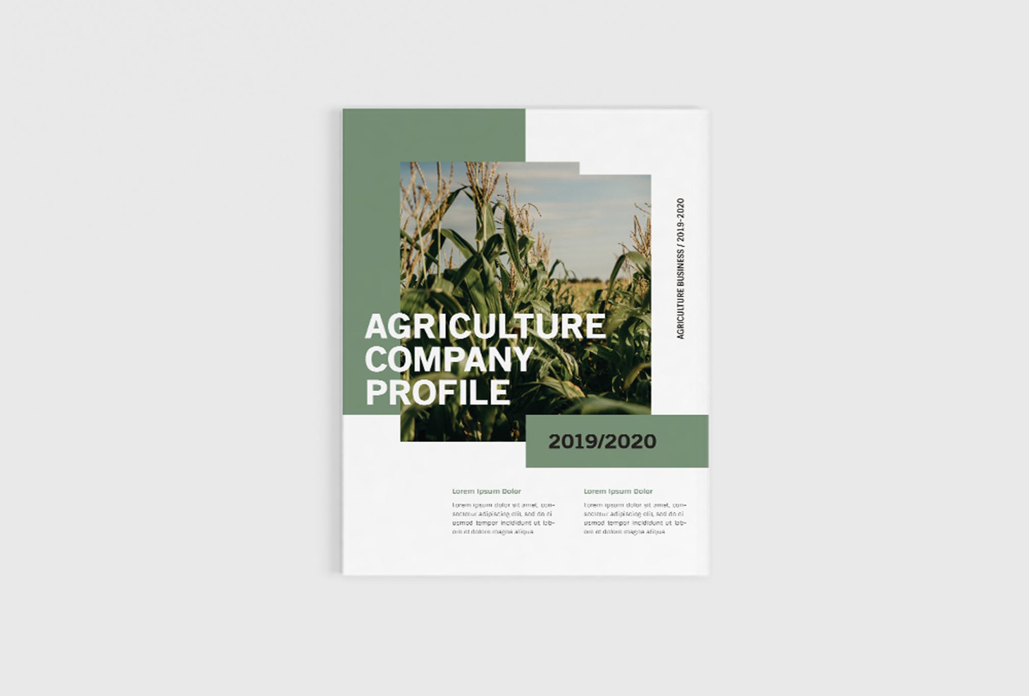 农业绿色食品公司简介企业画册设计模板 Agriculture Company Profile插图(1)
