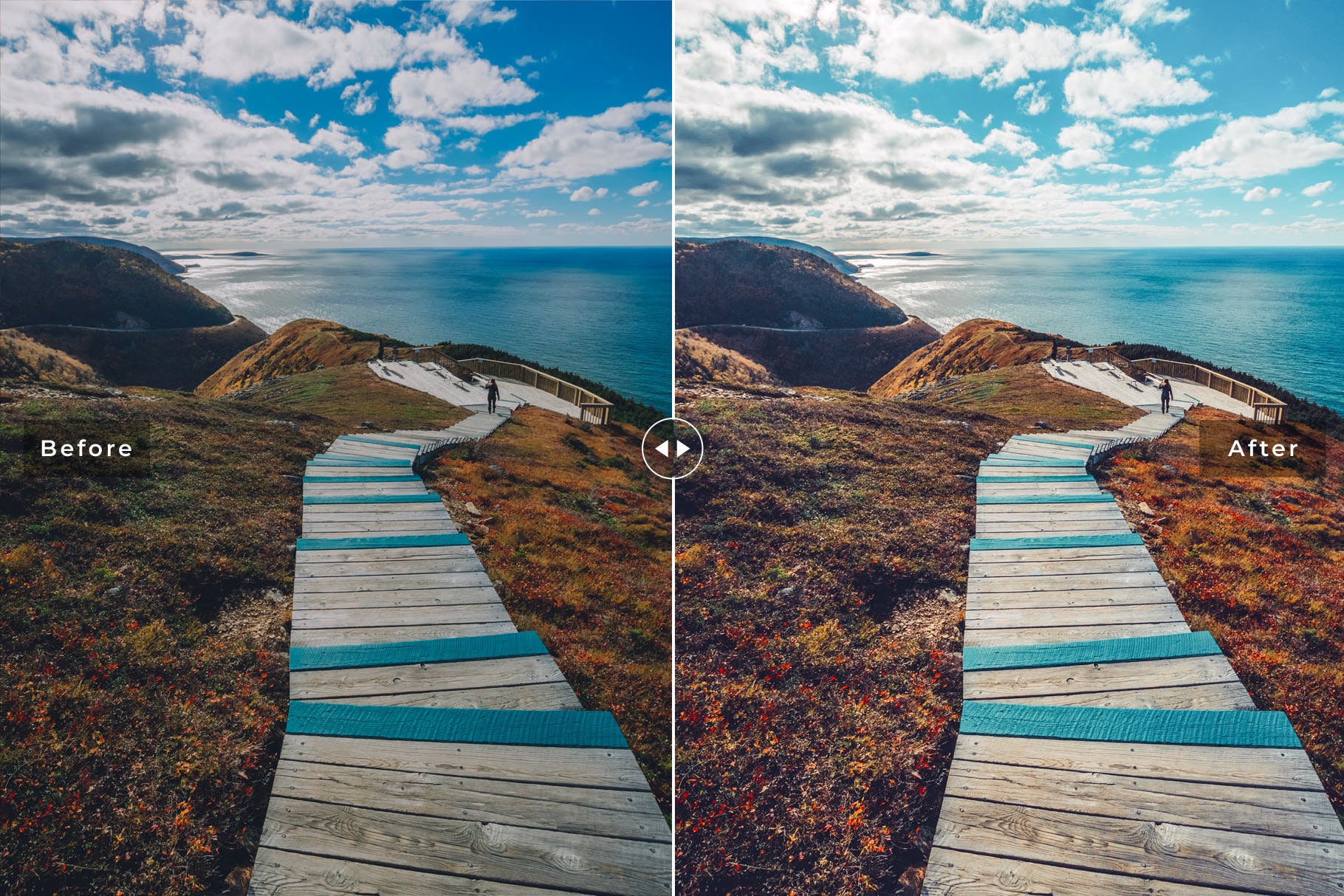 唯美深色对比色调照片后期处理亿图网易图库精选LR预设 Nova Scotia Mobile & Desktop Lightroom Presets插图(2)