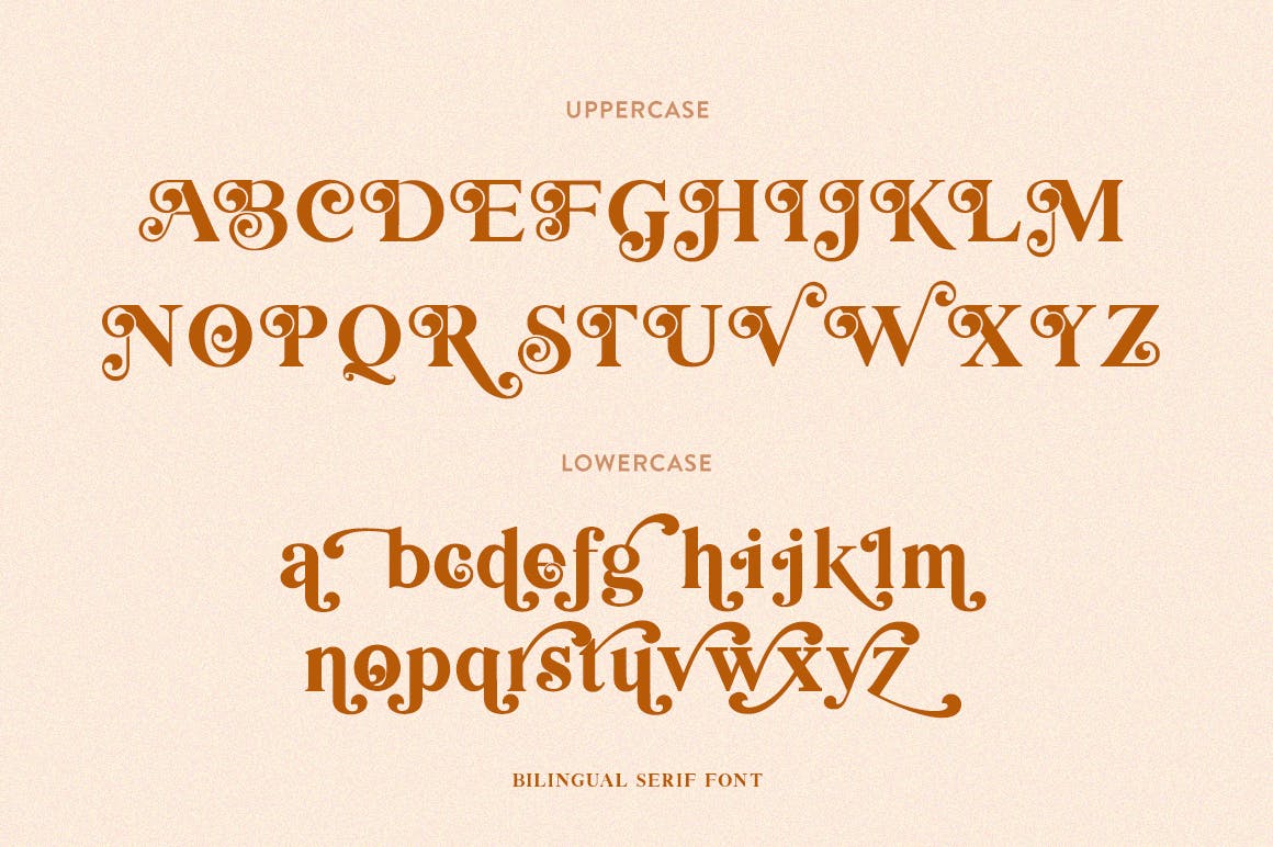创意英文衬线字体素材库精选二重奏 Bilingual Serif Font Duo插图(9)
