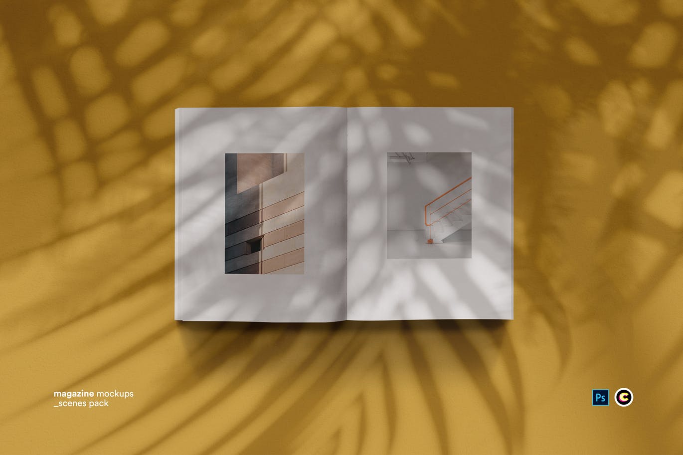 植物阴影墙背景杂志排版设计预览样机16设计网精选模板 Shadow Magazine Mockups插图