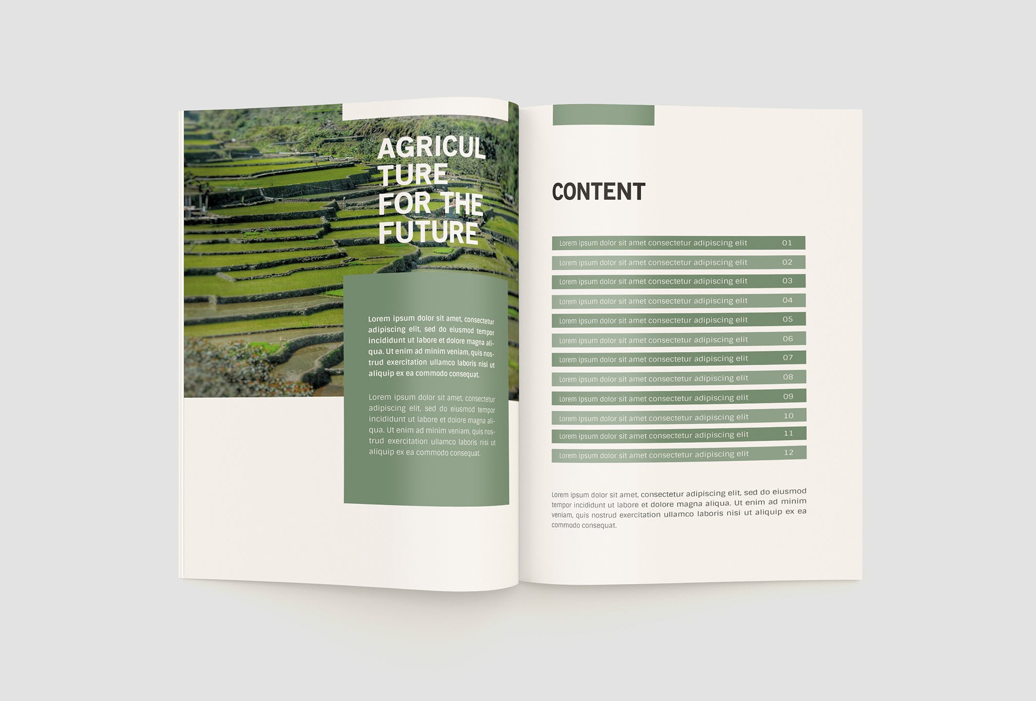 农业绿色食品公司简介企业画册设计模板 Agriculture Company Profile插图(3)