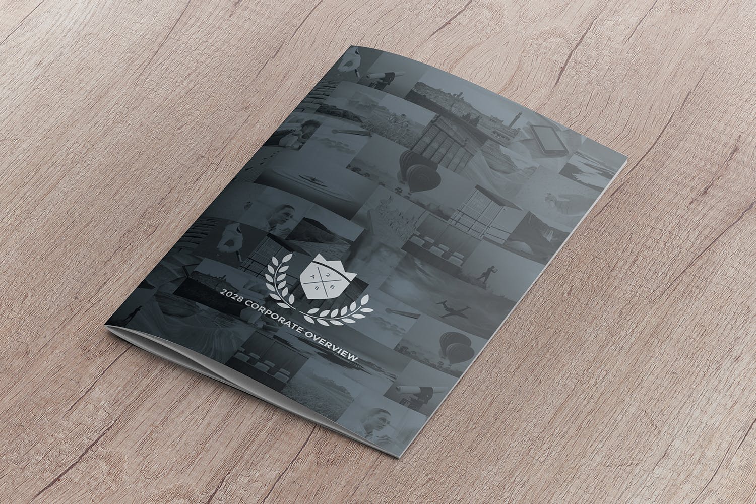 A4尺寸企业/品牌宣传册封面效果图样机16图库精选模板 A4 Brochure Cover Mockup Perspective View插图(2)