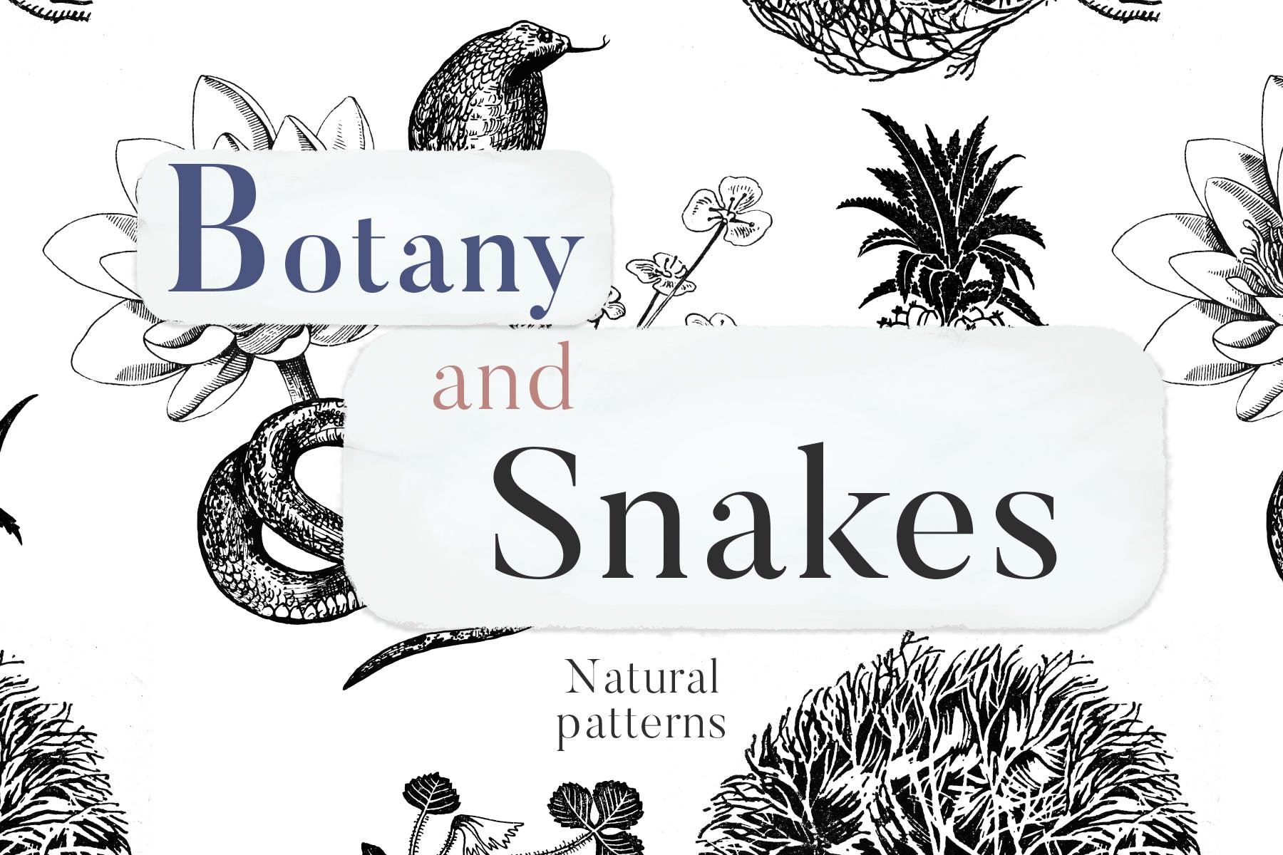植物学与蛇自然主题无缝图案背景素材 Botany And Snakes Natural Patterns插图