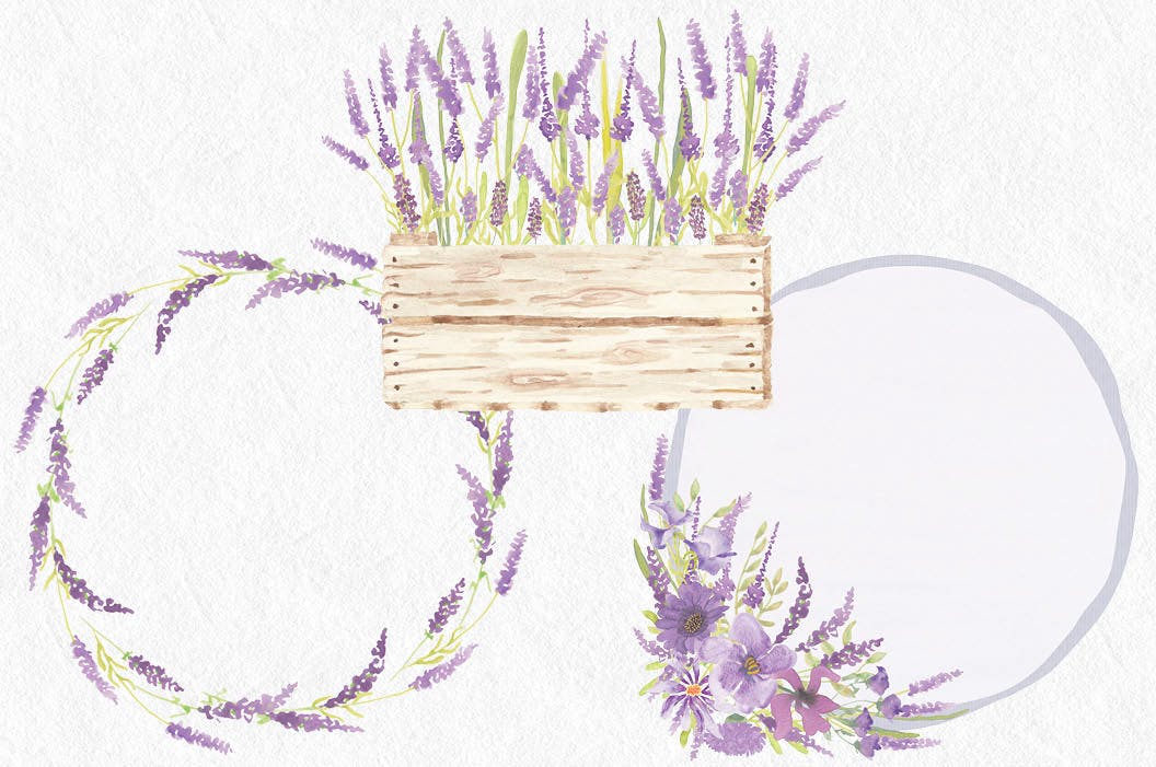 薰衣草绽放水彩剪贴画非凡图库精选PNG素材 Lavender Blooms: Watercolor Clip Art Bundle插图(4)