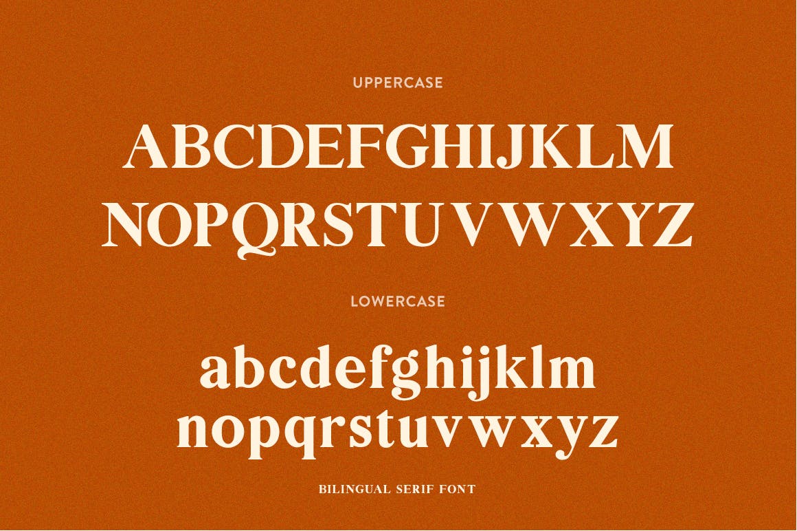创意英文衬线字体素材库精选二重奏 Bilingual Serif Font Duo插图(8)