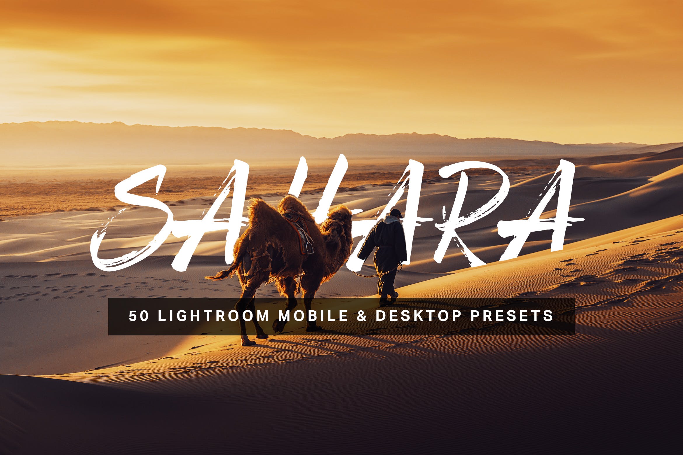 50款沙漠风景摄影调色滤镜素材库精选LR预设 50 Sahara Lightroom Presets and LUTs插图