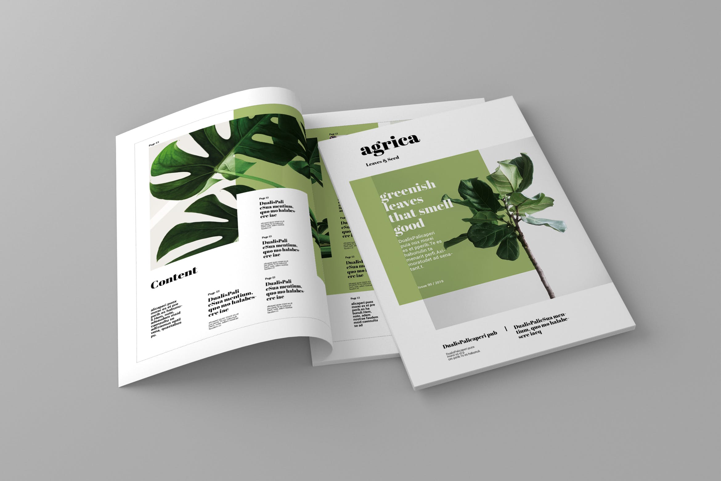 企业业务介绍素材库精选杂志排版设计模板 Agrica – Magazine Template插图