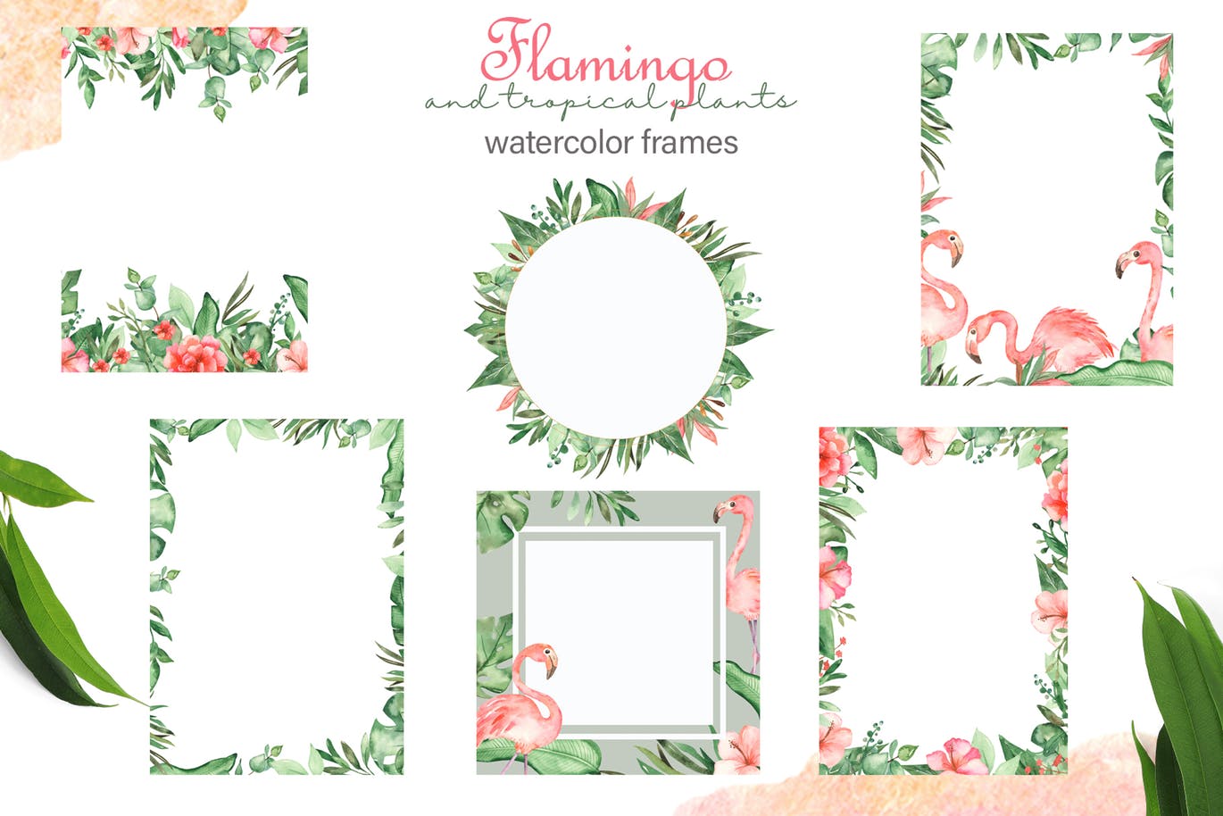 火烈鸟＆热带植物水彩插画素材 Watercolor flamingos and tropical plants插图(5)
