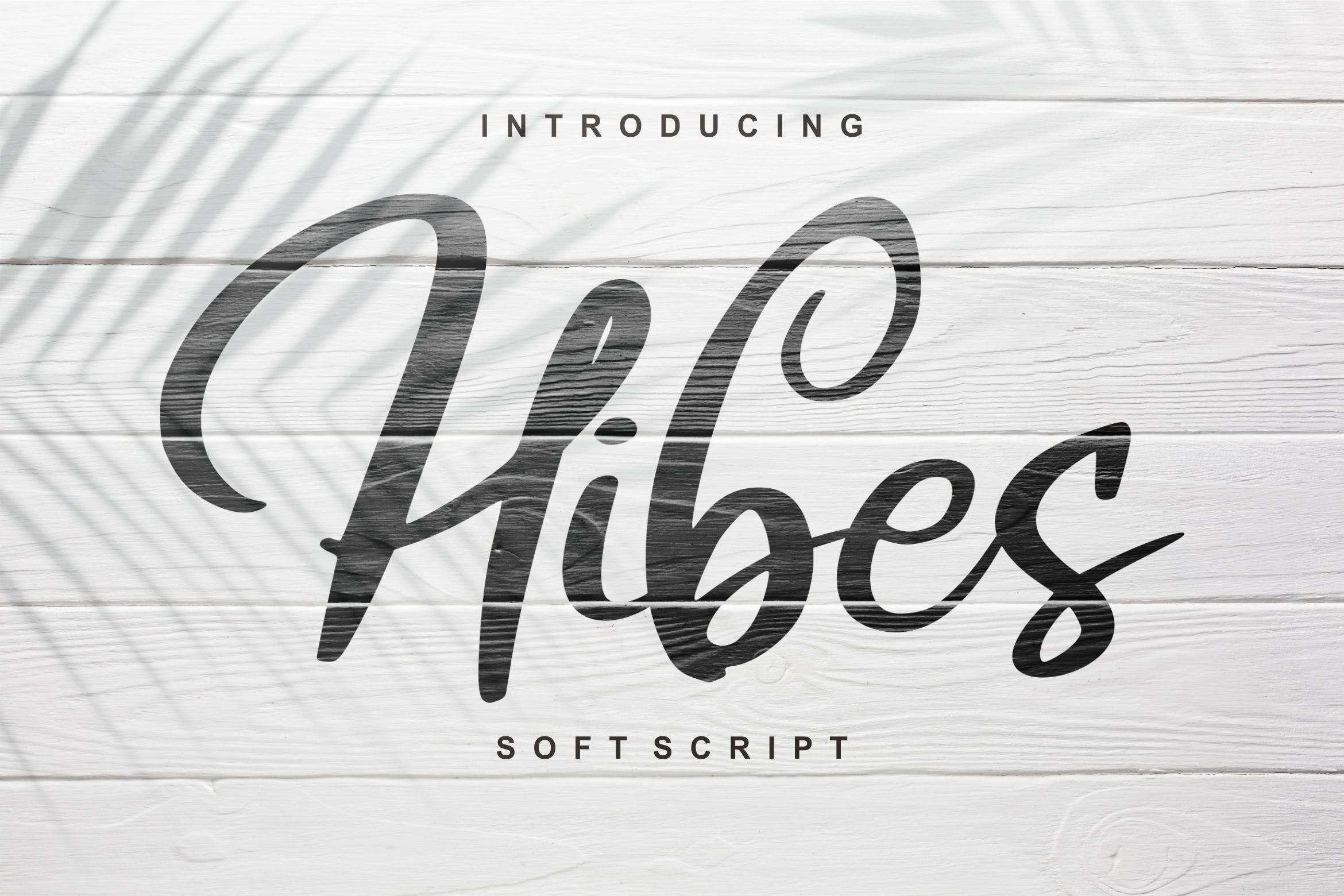 软笔刷书法风格英文手写字体16设计素材网精选 Hibes | Soft Script Font插图