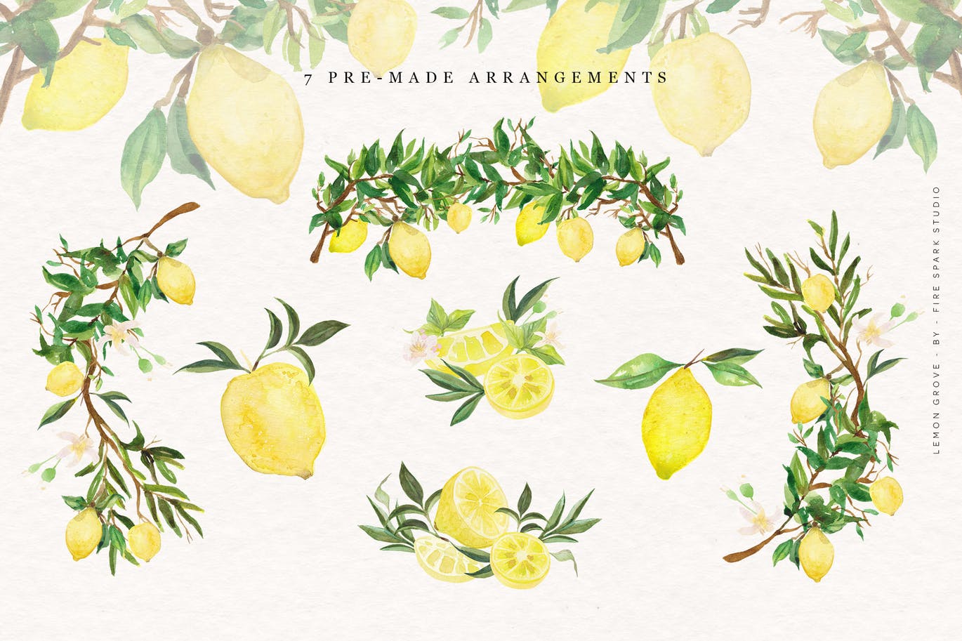 柠檬树水彩手绘矢量插画非凡图库精选素材 Lemon Grove Watercolor Illustrations插图(5)