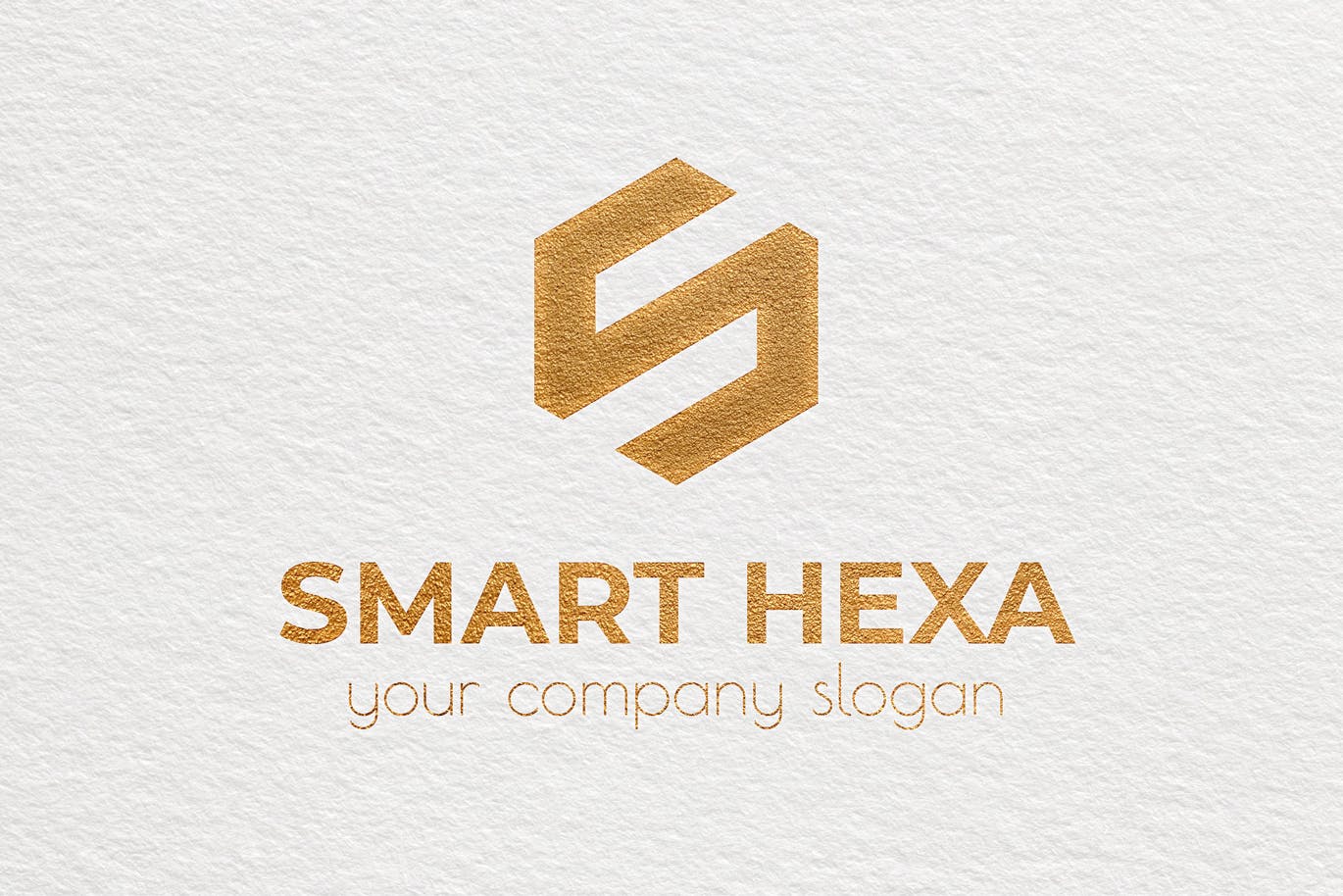 S字母图形Logo设计素材库精选模板 Smart Hexa Awesome Logo Template插图(3)