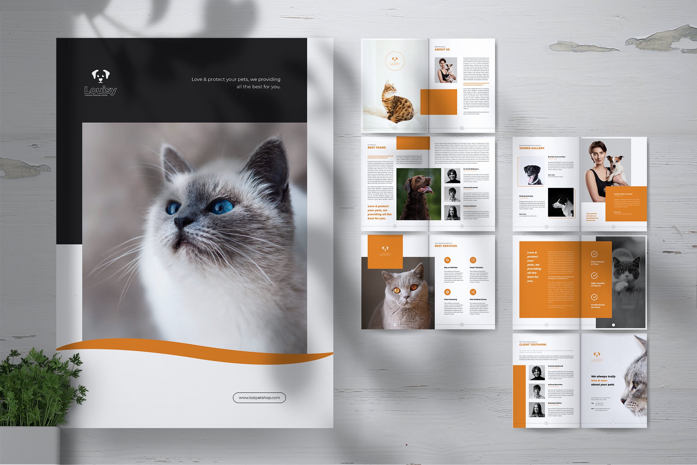 宠物店业务宣传手册设计模板 LOSI Pet Shop Business Brochure插图