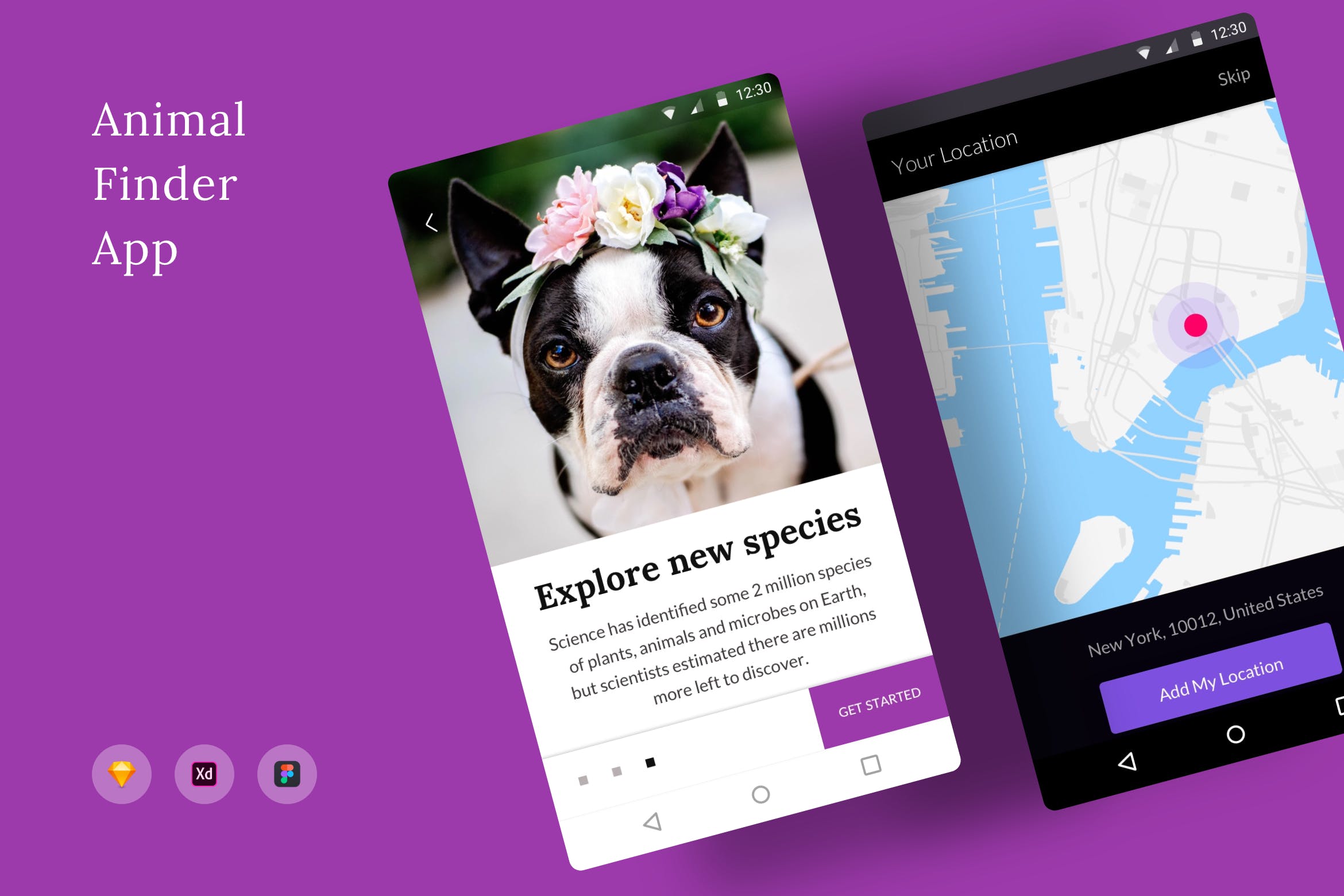 动物防丢失位置搜索APP应用UI界面设计素材库精选模板 Animal Finder App插图