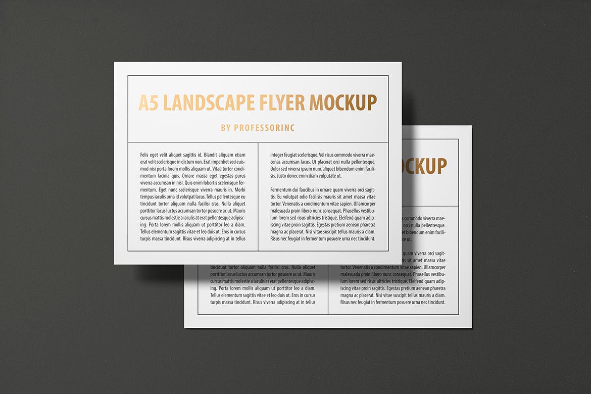 A5尺寸大小烫金设计风格宣传单效果图样机普贤居精选模板 A5 Landscape Flyer Mockup — Foil Stamping Edition插图(4)
