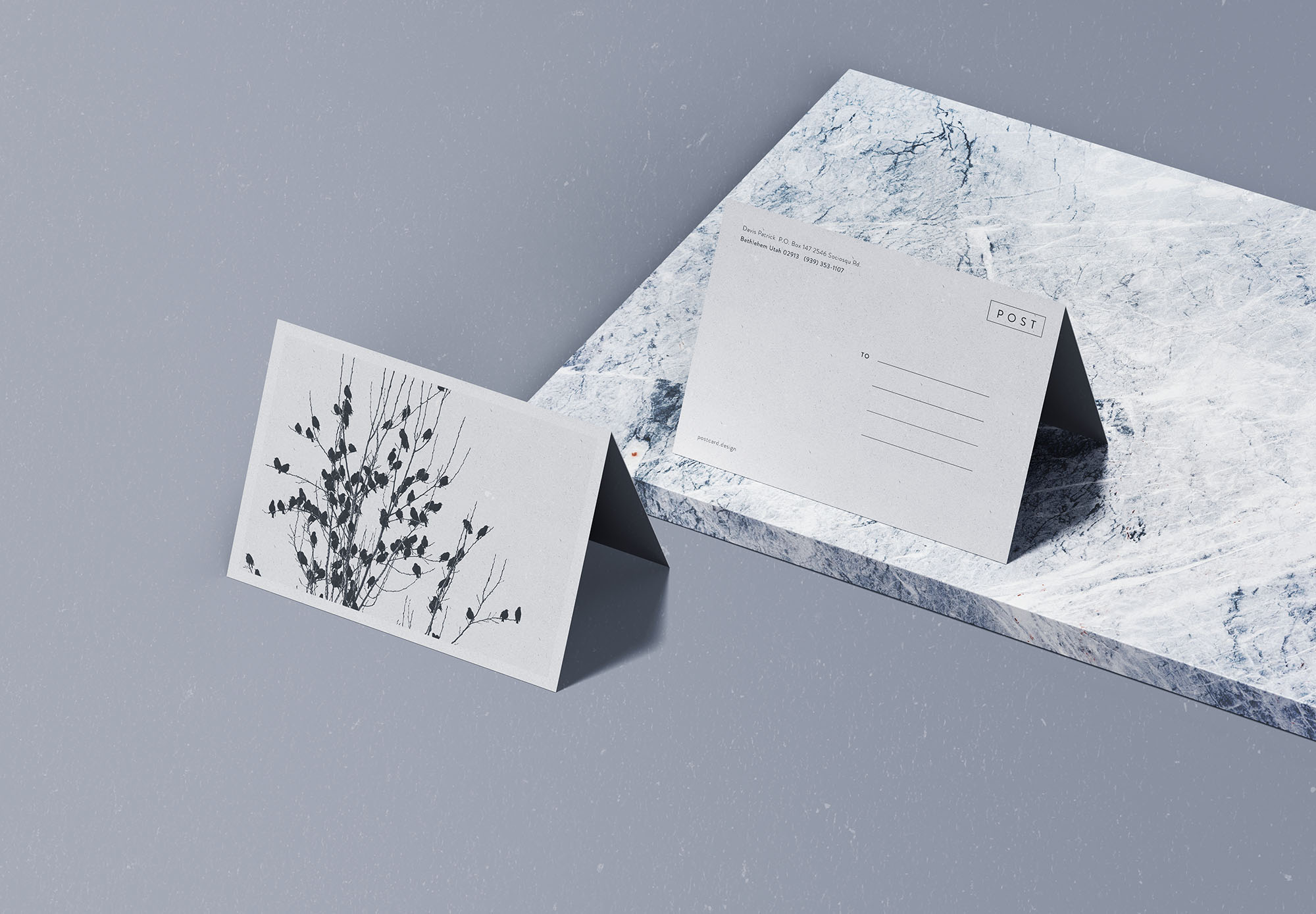 折叠式明信片设计效果图样机素材中国精选 Folded Postcard Mockup插图