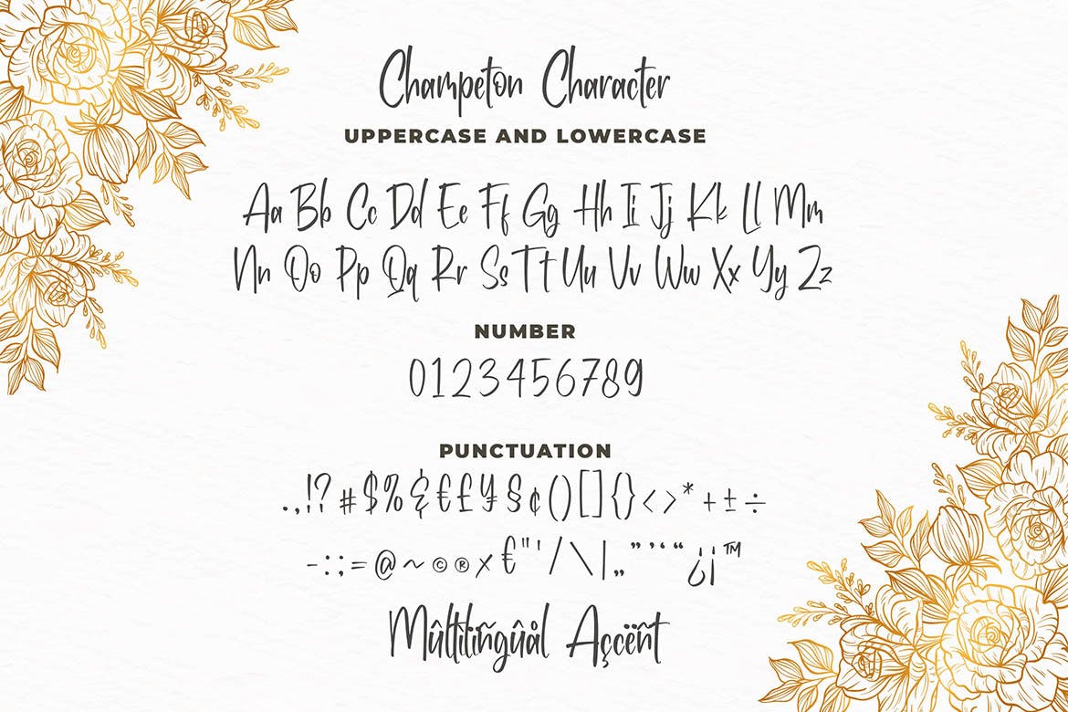 俏皮流畅风格英文书法字体16设计素材网精选 Champeton – Playful Script Font插图(4)