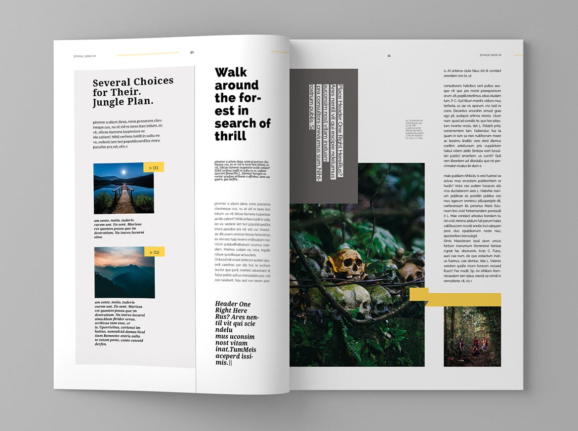 旅游行业素材库精选杂志版式设计模板 Jungle – Magazine Template插图(6)
