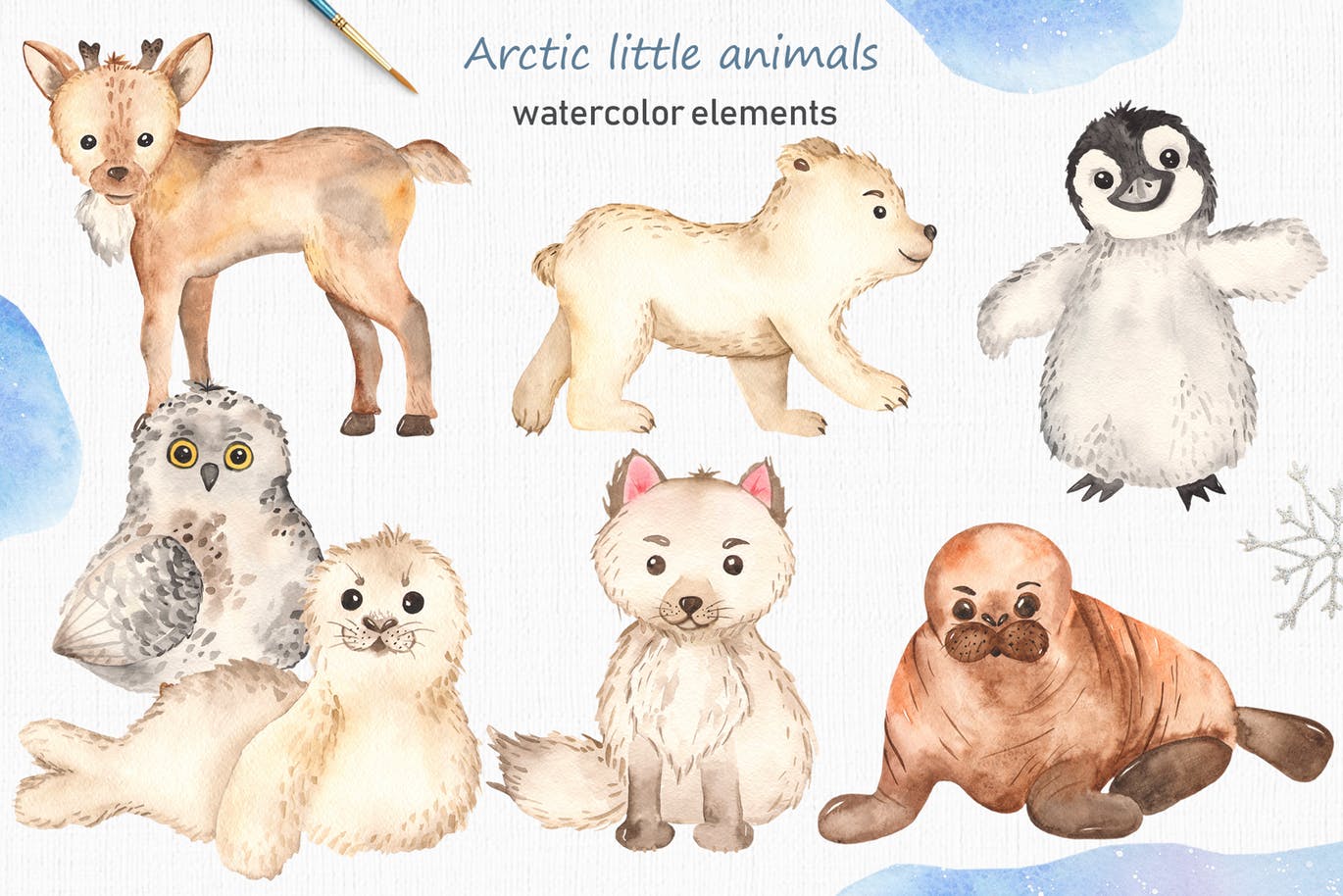 北极小动物水彩手绘剪贴画＆卡片素材 Watercolor Arctic little animals Clipart cards插图(1)